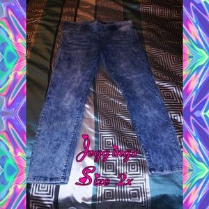 Plus Size Jeggings 2x